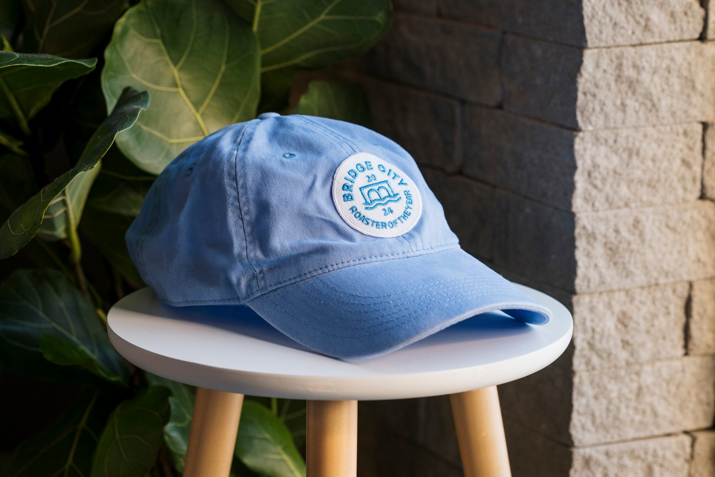 roaster of the year - ball cap