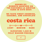 Close-up of Bridge City Coffee Costa Rica La Amistad medium roast coffee bag label, featuring single-origin specialty coffee from Costa Rica.