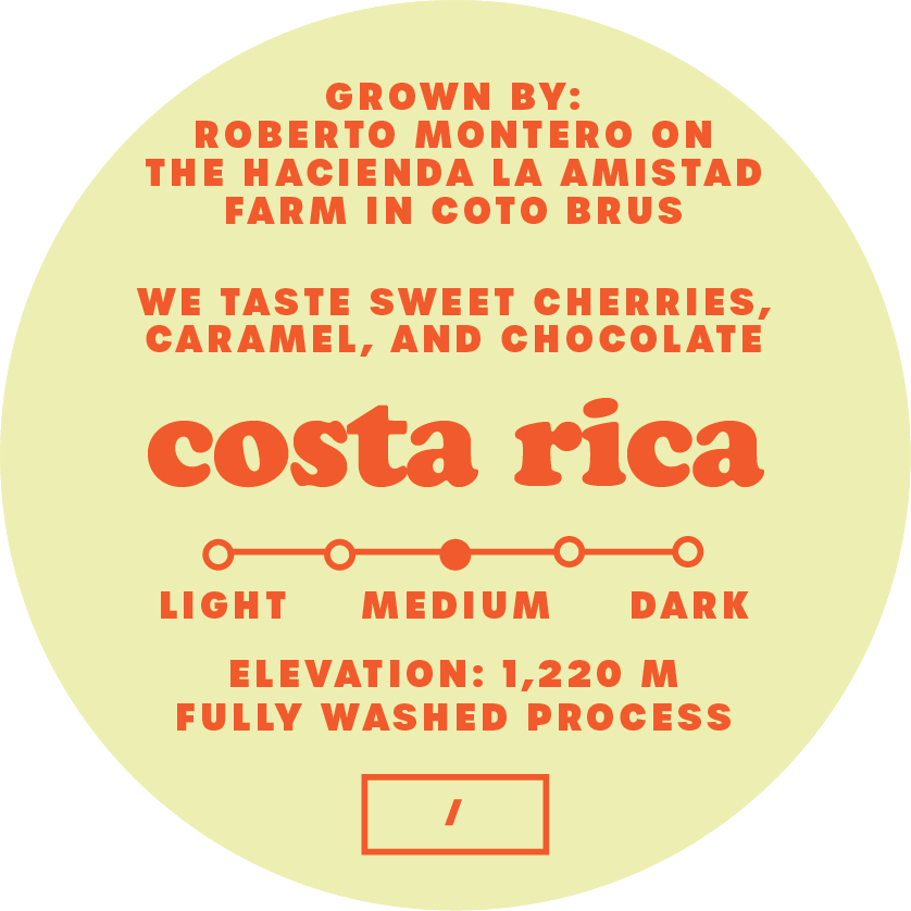 *new* costa rica la amistad